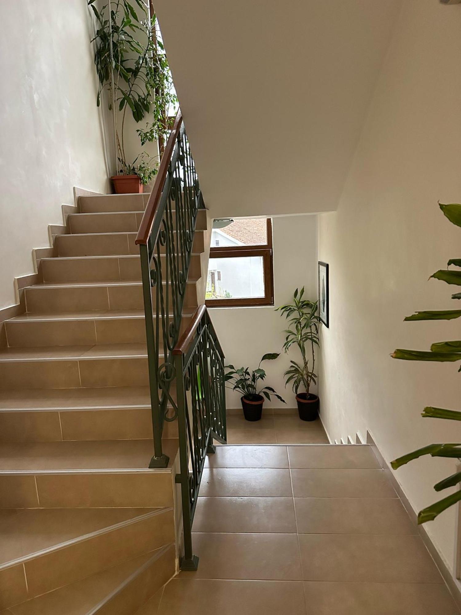 Apartments Krapina Lux Budva Ngoại thất bức ảnh